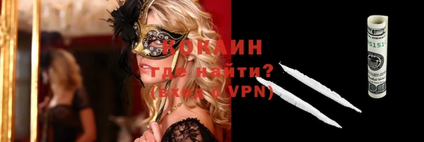 apvp Алексин